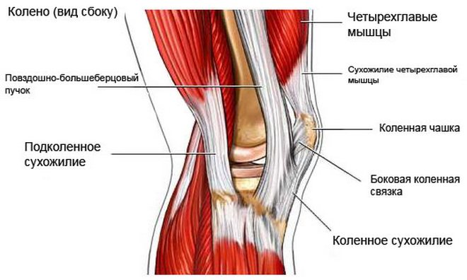 a térd deformáló artrózisának kezelése 3 fokkal fájdalom a lábak és a lábak ízületeiben
