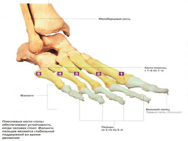 sókompressziók ízületi fájdalmak kezelésére hogyan lehet gyógyítani a térd artrózisát 1 fokkal