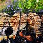 Several ways to cook dorado on the grill Recipes for cooking dorado on the barbecue